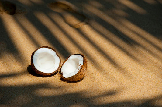 Two coconuts on the sand