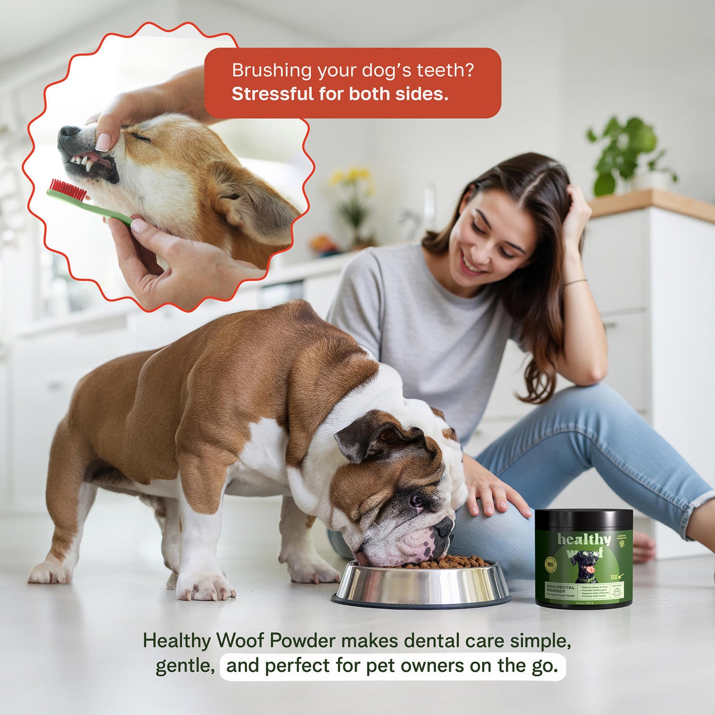 Polvo dental para Shih Tzu: suplemento para el mal aliento y el cuidado de las encías