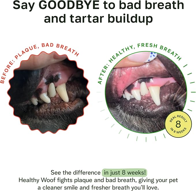 Before and after photos supplied by a Healthy Woof customer