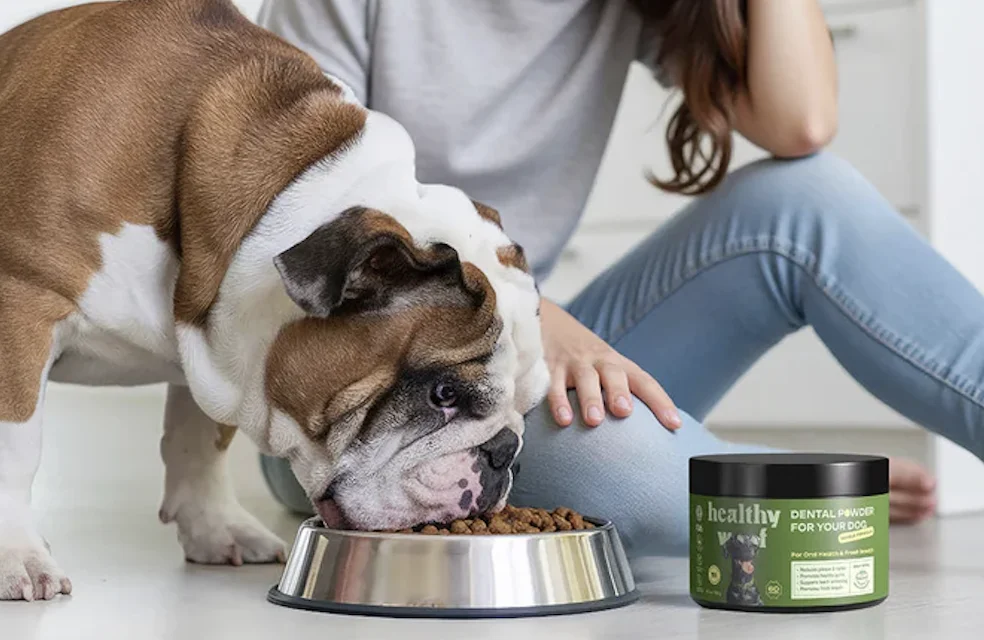 A bulldog enjoying a bowl of kibble with a Healthy Woof dental powder jar beside the meal