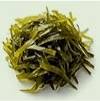 Icelandic kelp ingredient illustration