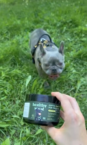 A dog on a grassy walk beside a Healthy Woof jar, a frame from our Instagram video
