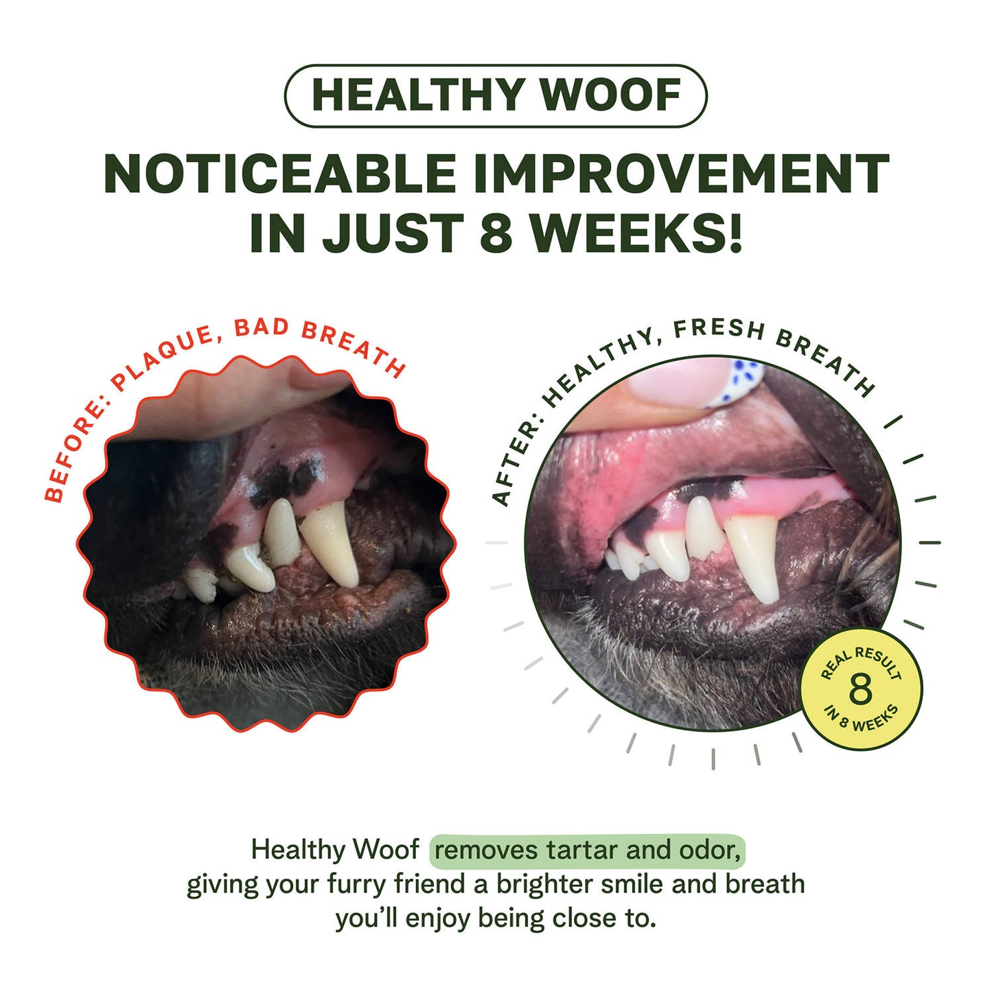 Polvo dental diario para perros pequeños y medianos – 60 cucharadas