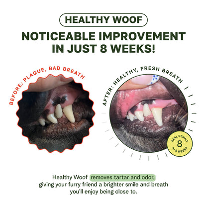 Polvo dental diario para perros pequeños y medianos – 60 cucharadas