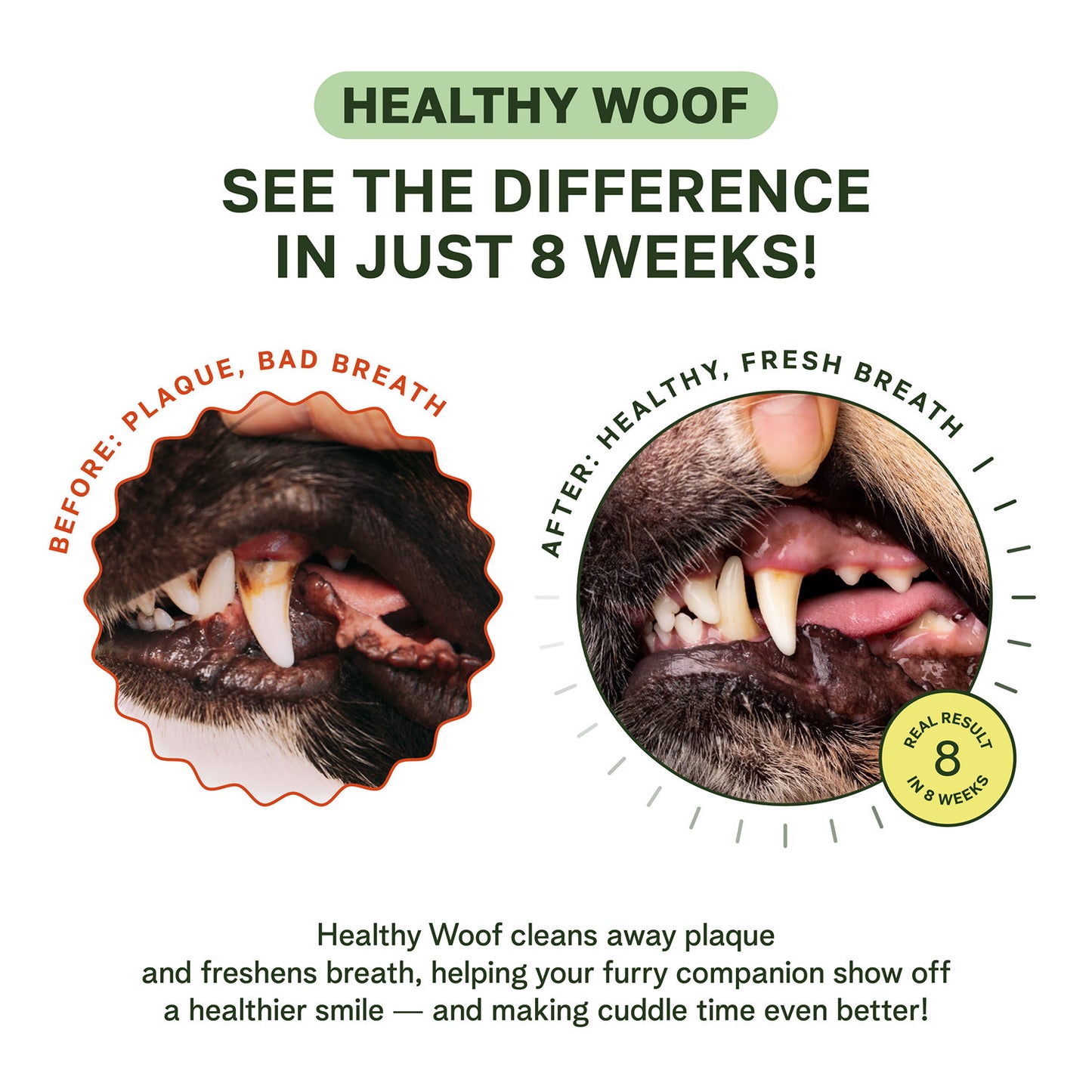 Polvo dental para golden retrievers y razas grandes – 120 cucharadas