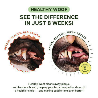 Polvo dental para golden retrievers y razas grandes – 120 cucharadas